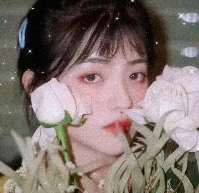 阴暗家族